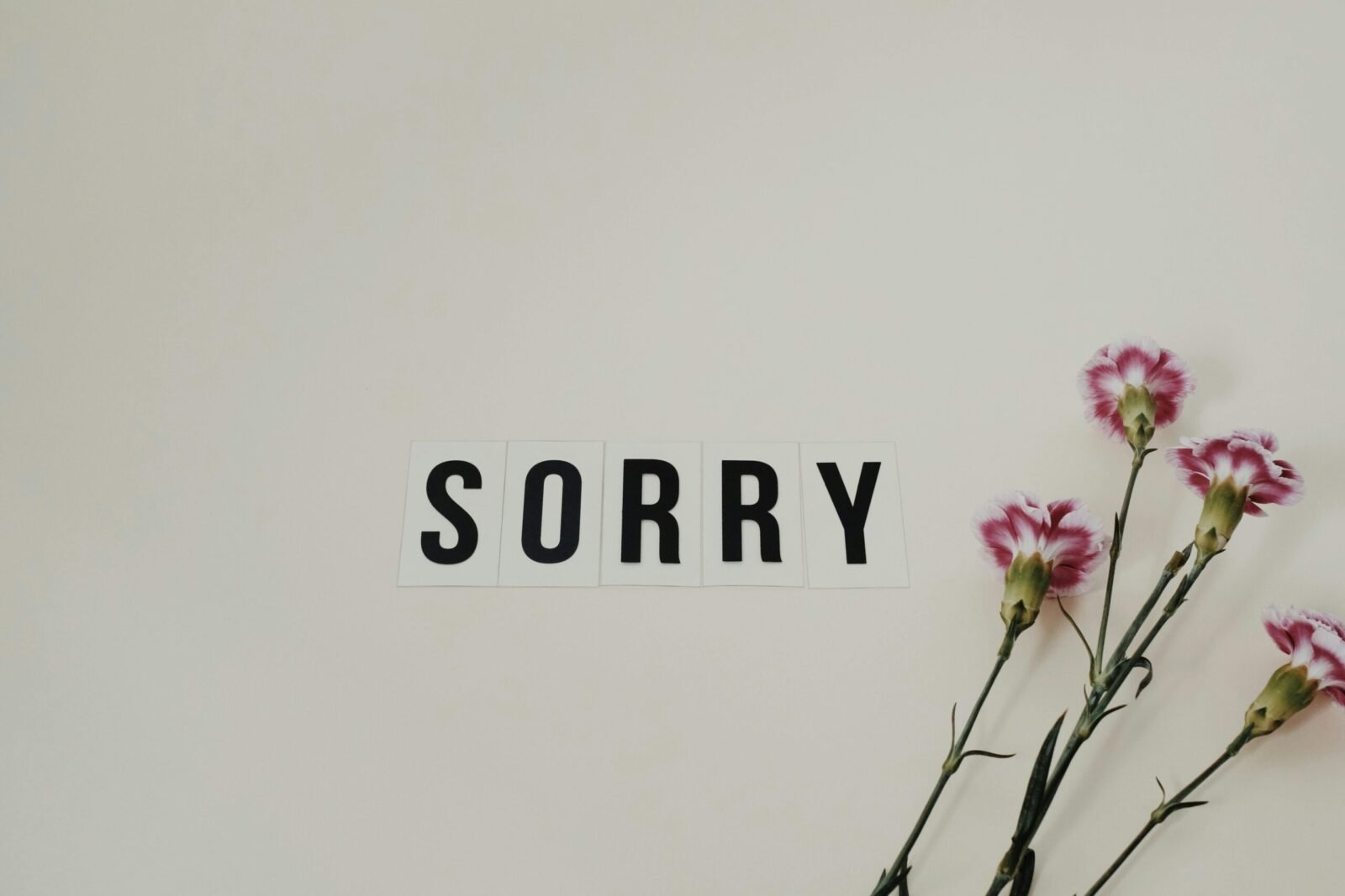 Word 'SORRY' displayed with pink carnations on a white background
