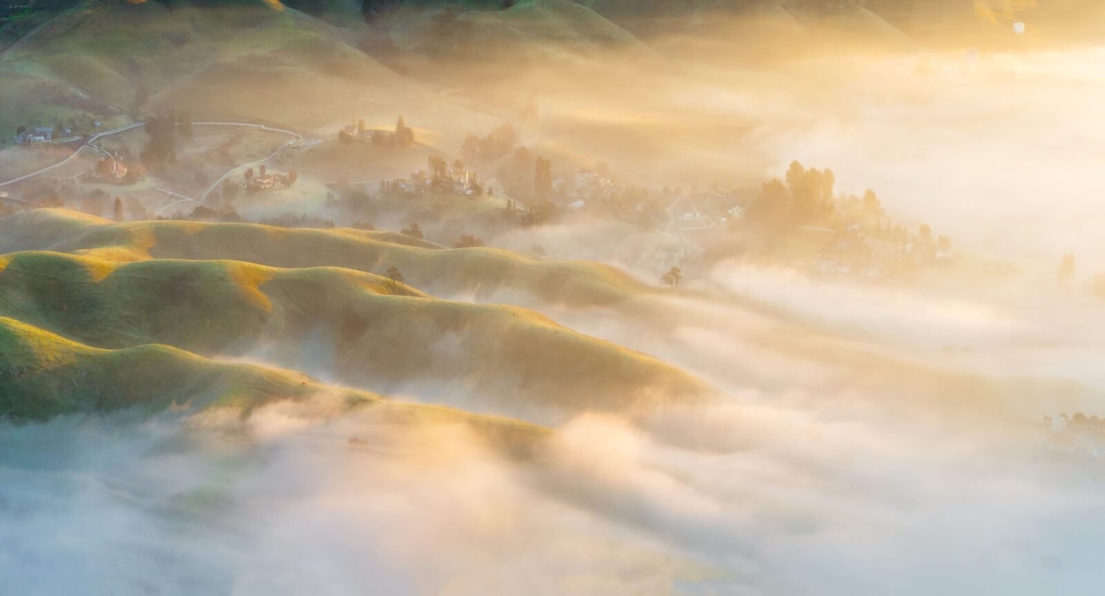 Golden mist envelops rolling hills and valleys in a tranquil sunrise scene.
